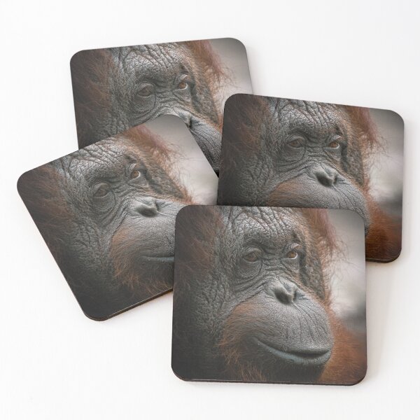 Item preview, Orangutan designed and sold by JarbasVisuals.
