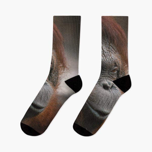 Item preview, Orangutan designed and sold by JarbasVisuals.