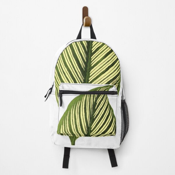 Item preview, Calathea elliptica Vittata designed and sold by chimakingthings.