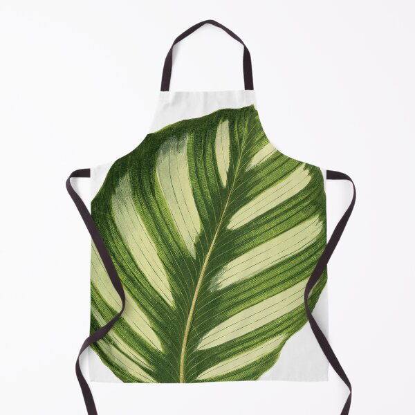 Item preview, Calathea fasciata - Rothschild designed and sold by chimakingthings.