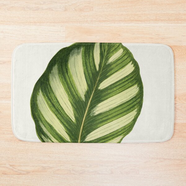 Item preview, Calathea fasciata - Rothschild designed and sold by chimakingthings.