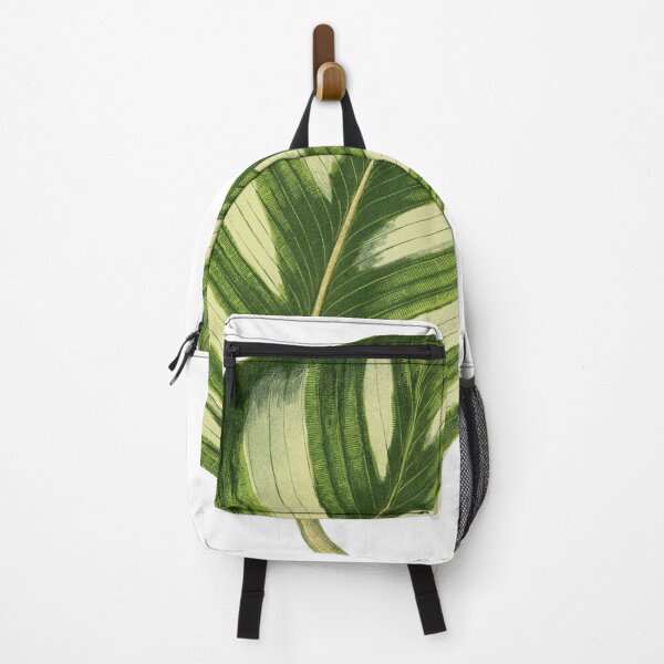 Item preview, Calathea fasciata - Rothschild designed and sold by chimakingthings.