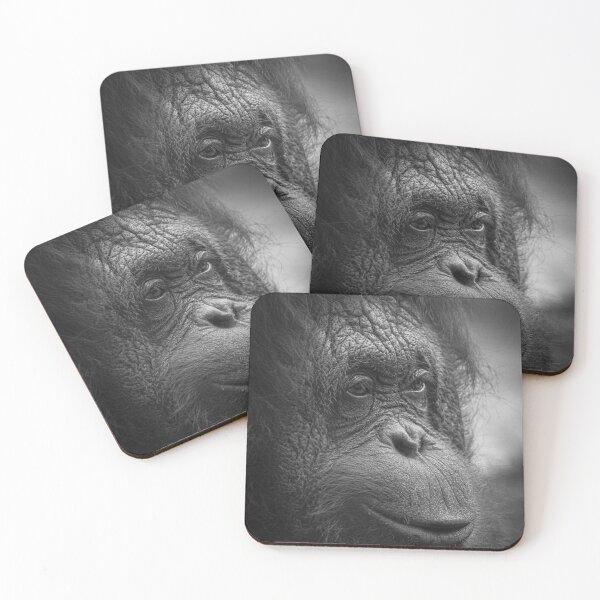 Item preview, Orangutan in Black and White designed and sold by JarbasVisuals.