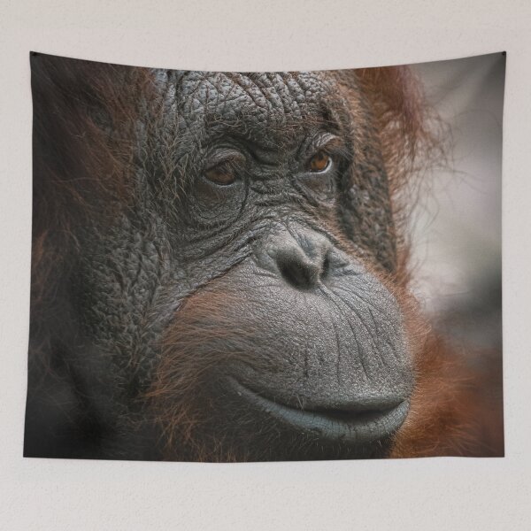 Item preview, Orangutan designed and sold by JarbasVisuals.