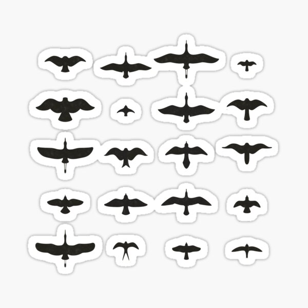 Heimische Vögel im Fluge / Vogelsilhouetten (Deutsch) Sticker