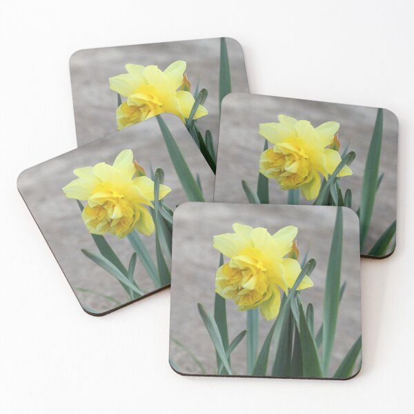 Item preview, Yellow Daffodil designed and sold by SweepingShadows.