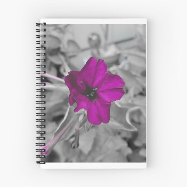 Item preview, Purple Four O'Clock designed and sold by Peggy Feigenbaum.