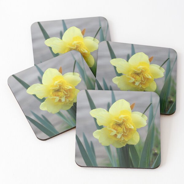 Item preview, Yellow Daffodil designed and sold by SweepingShadows.