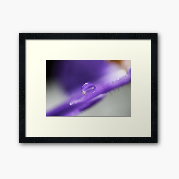 Item preview, Violet Macro Droplet designed and sold by SweepingShadows.