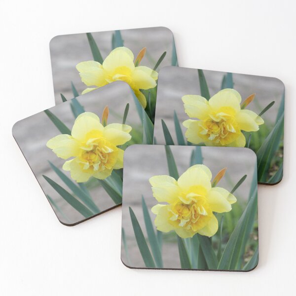 Item preview, Yellow Daffodil designed and sold by SweepingShadows.
