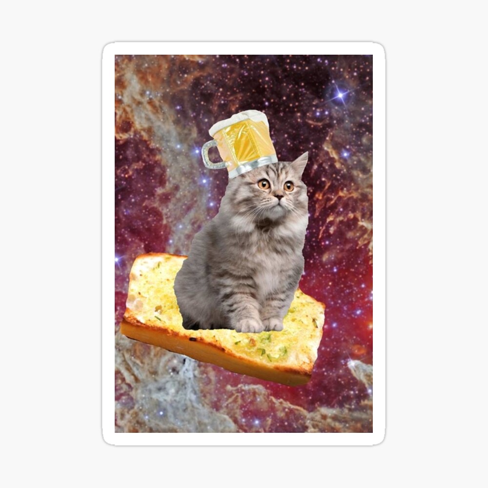 cat eating vegetables