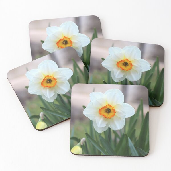 Item preview, White Daffodil designed and sold by SweepingShadows.