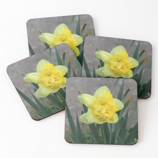 Item preview, Yellow Daffodil designed and sold by SweepingShadows.