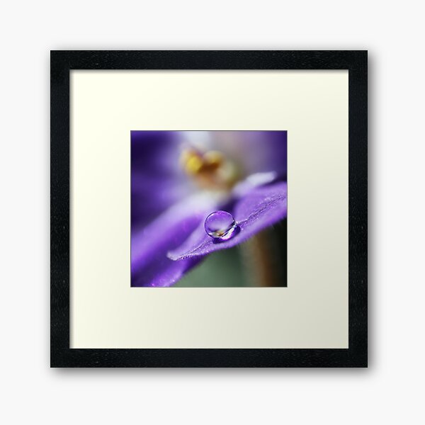Item preview, Violet Macro Droplet designed and sold by SweepingShadows.