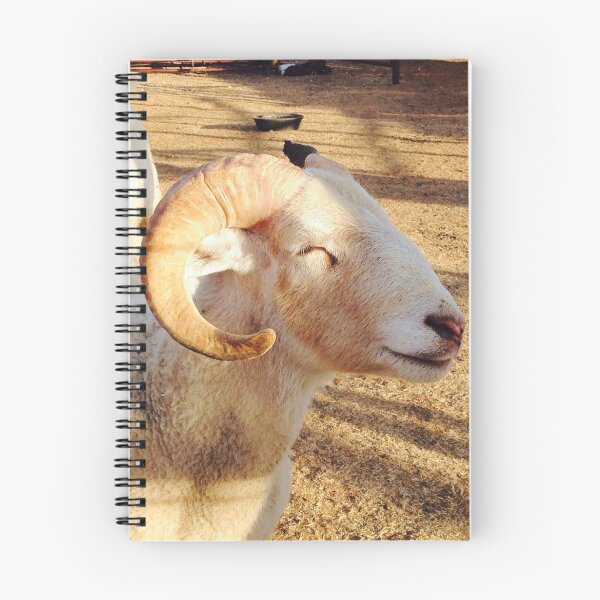 Item preview, Smiley the Happy Ram designed and sold by photodelights.