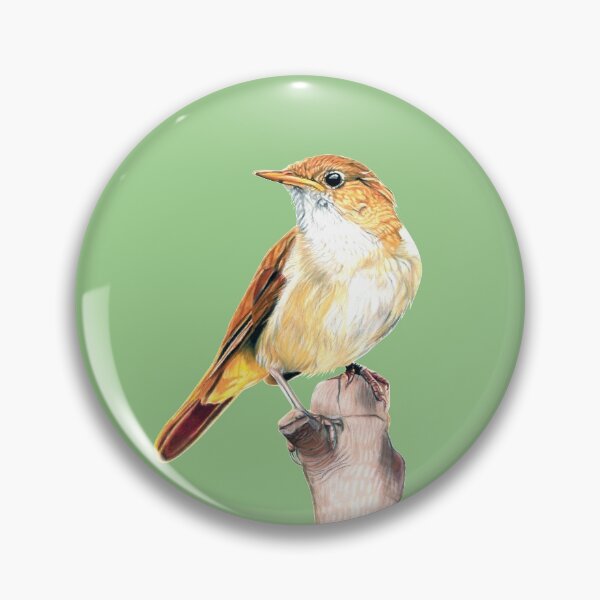 Item preview, Nightingale Songbird on light green designed and sold by IslesArt.