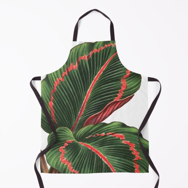 Item preview, Calathea roseopicta - Rothschild designed and sold by chimakingthings.