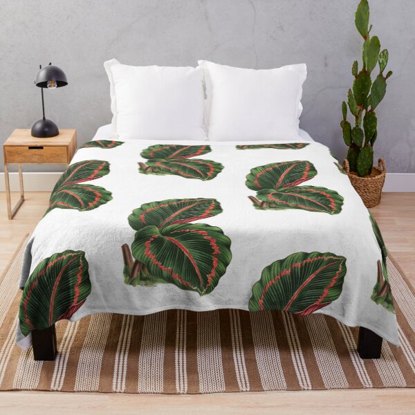Item preview, Calathea roseopicta - Rothschild designed and sold by chimakingthings.