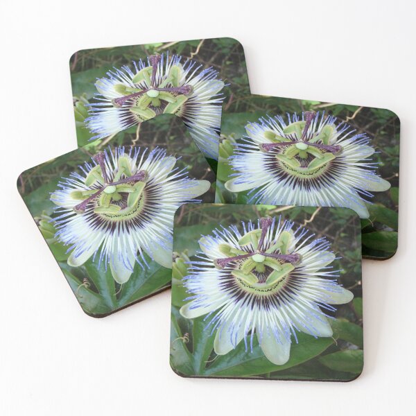 Item preview, Passion Flower designed and sold by SweepingShadows.