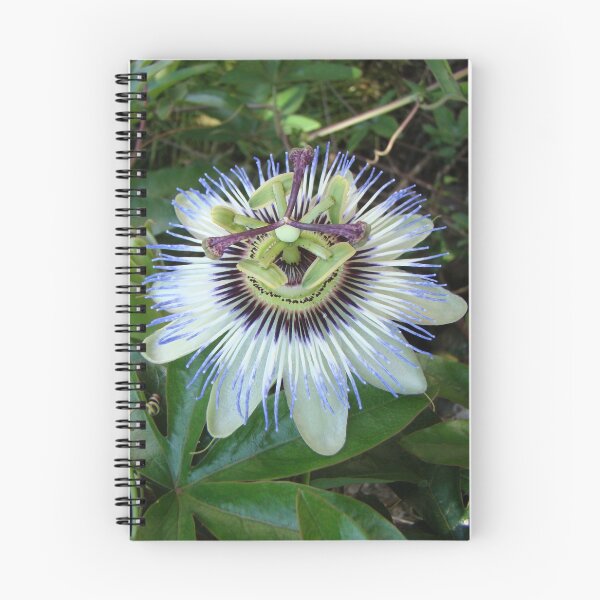 Item preview, Passion Flower designed and sold by SweepingShadows.