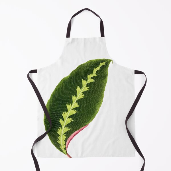 Item preview, Calathea Warscewiczii - Flore des serres et des jardin de l’Europe designed and sold by chimakingthings.