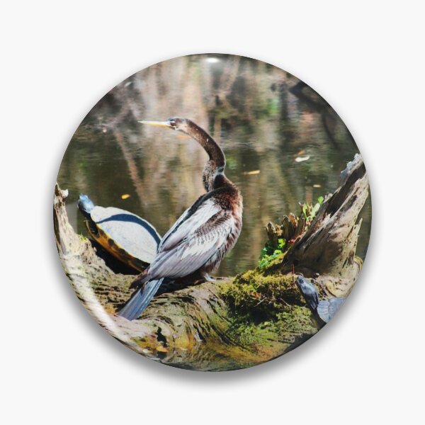 Item preview, Anhinga And Turtles On Log designed and sold by Cynthia48.