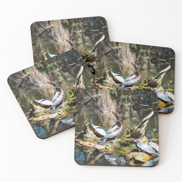 Item preview, Anhinga And Turtles On Log designed and sold by Cynthia48.