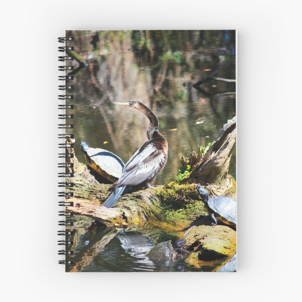 Item preview, Anhinga And Turtles On Log designed and sold by Cynthia48.