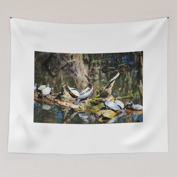 Item preview, Anhinga And Turtles On Log designed and sold by Cynthia48.