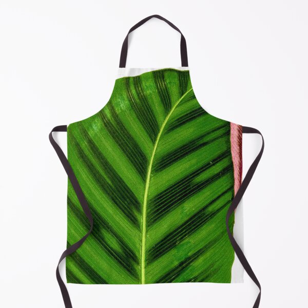 Item preview, Calathea Zebrina - Rothschild designed and sold by chimakingthings.
