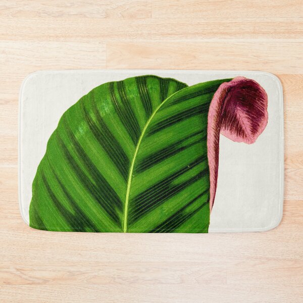 Item preview, Calathea Zebrina - Rothschild designed and sold by chimakingthings.
