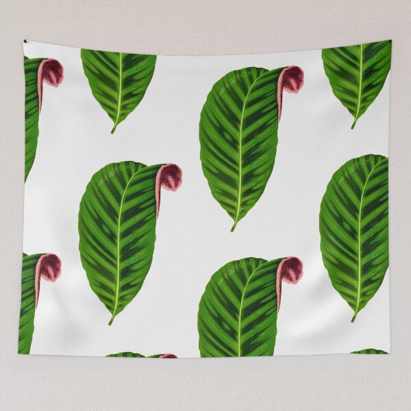 Item preview, Calathea Zebrina - Rothschild designed and sold by chimakingthings.