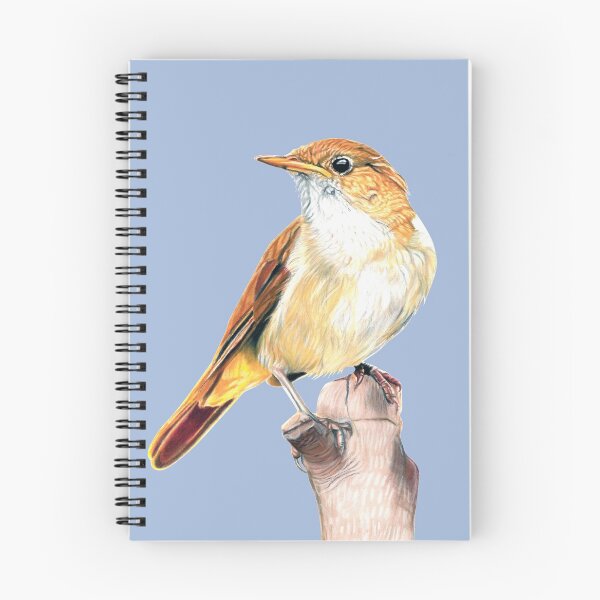 Item preview, Nightingale Songbird on sky blue designed and sold by IslesArt.