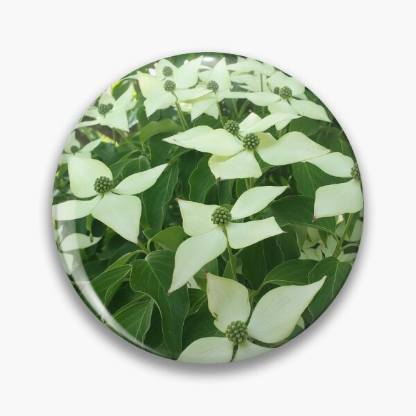 Item preview, Dogwood  designed and sold by GrudleBay.