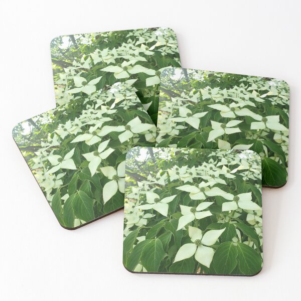 Item preview, Dogwood  designed and sold by GrudleBay.