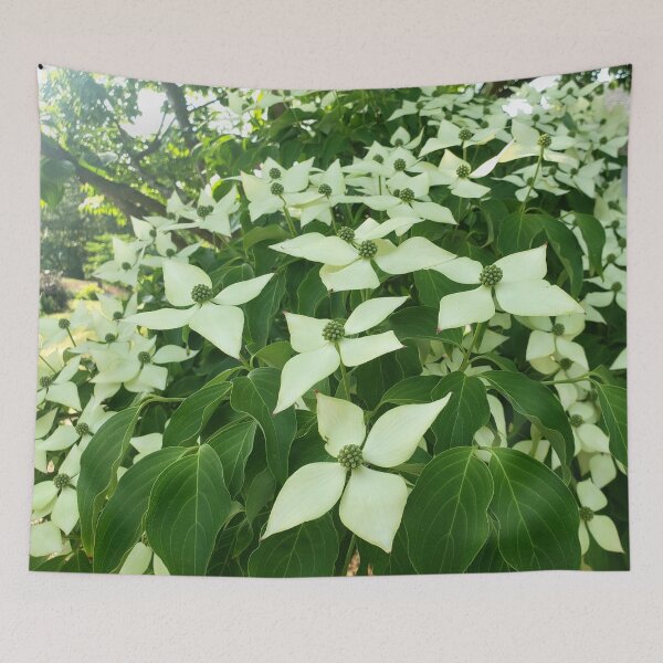 Item preview, Dogwood  designed and sold by GrudleBay.