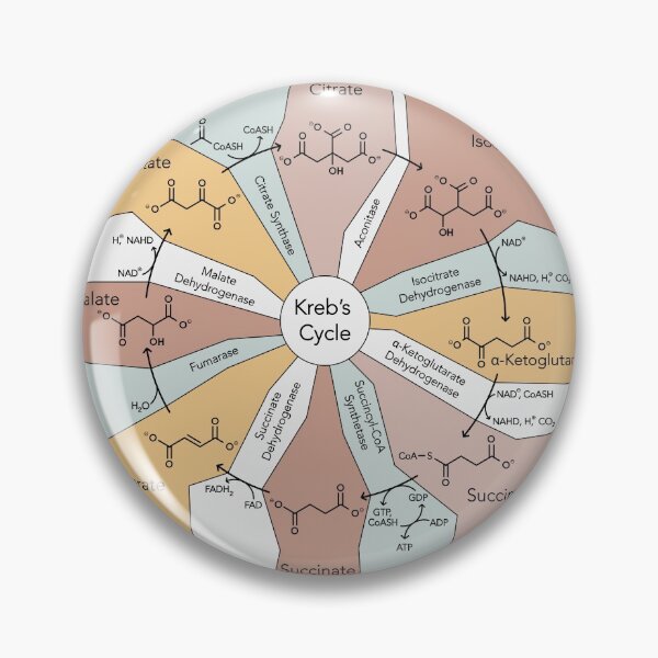 Item preview, Kreb's Cycle  designed and sold by jenscottiepow.