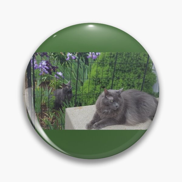 Storm & Mercury Bungling in the Iris Jungle Pin