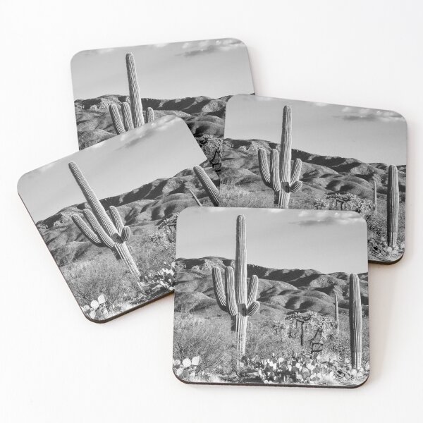 Item preview, Black Arizona Series - Tucson Desert Cactus designed and sold by Philippe HUGONNARD.
