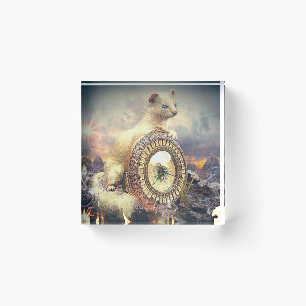Item preview, His Dark Materials - Pan & Alethiometer designed and sold by NatWWE.