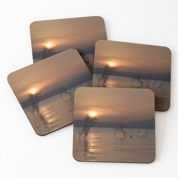 Item preview, Sea of Galilee Trees designed and sold by DanaLauraPhoto.