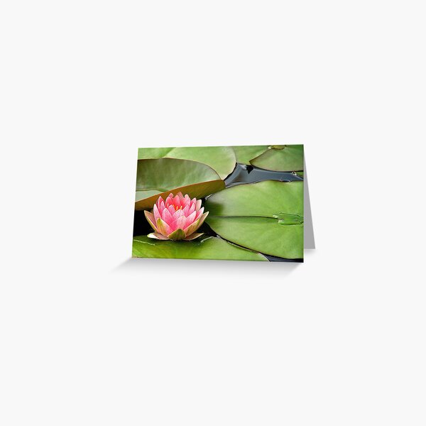 Peaceful Is My Name Greeting Card