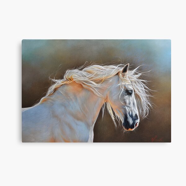 "Morning glow" Canvas Print
