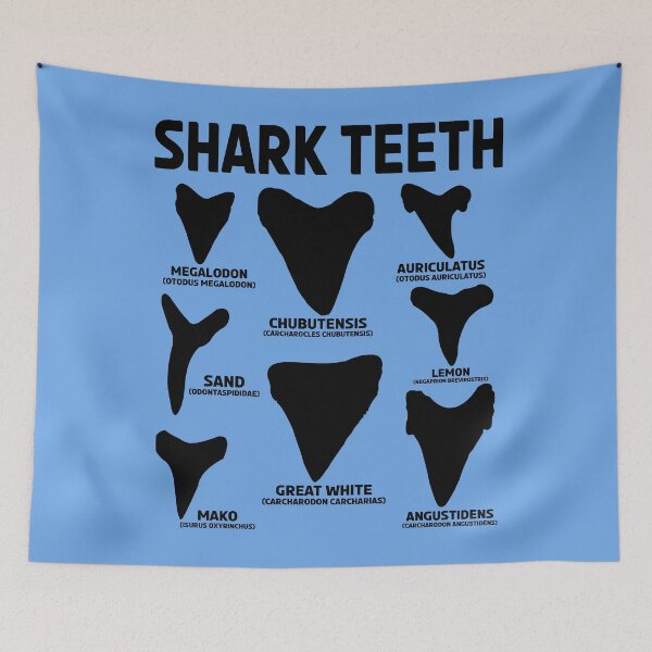 Item preview, Shark Teeth Types Species Ocean Fish Lover Gift designed and sold by TheAplus.