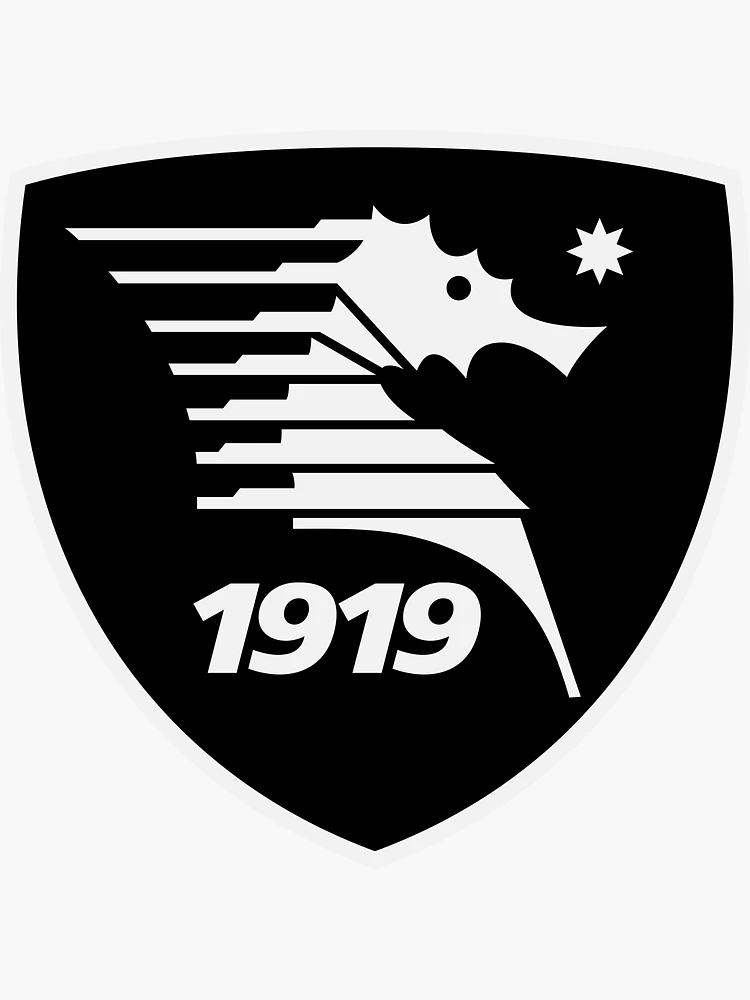 Salernitana fc discount