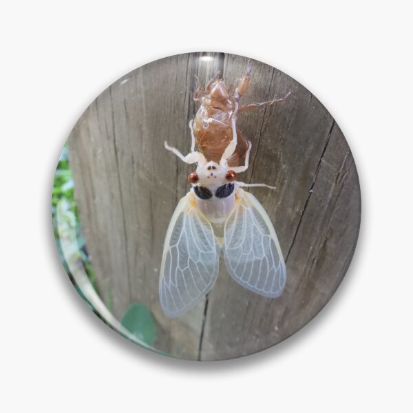 Item preview, Winged Beauty (Brood X Cicada) designed and sold by UpTowardTheSky.