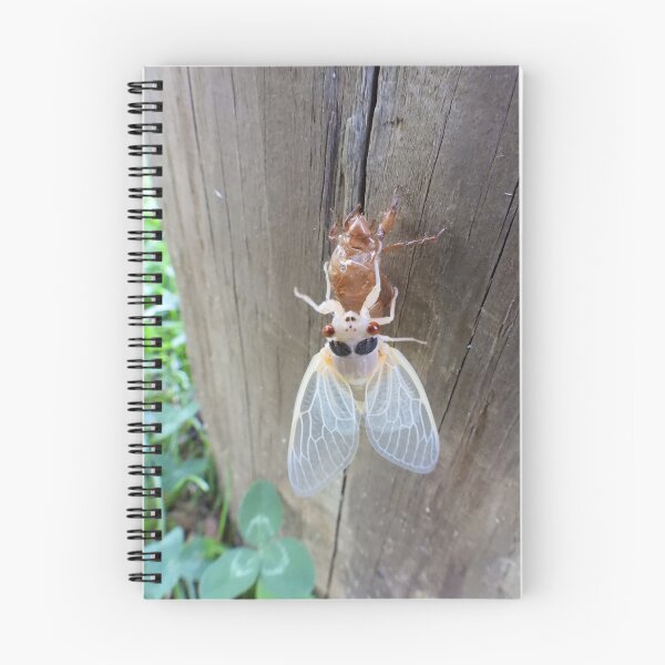 Item preview, Winged Beauty (Brood X Cicada) designed and sold by UpTowardTheSky.