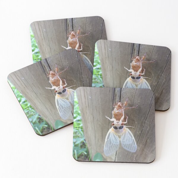 Item preview, Winged Beauty (Brood X Cicada) designed and sold by UpTowardTheSky.