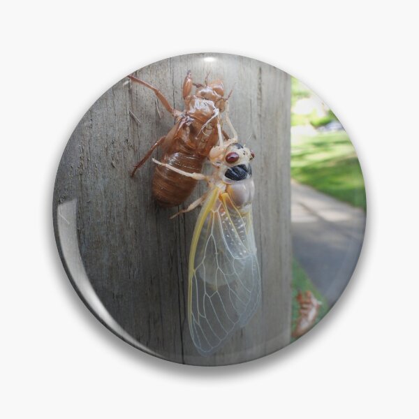 Item preview, Let's hang... (Brood X cicada) designed and sold by UpTowardTheSky.