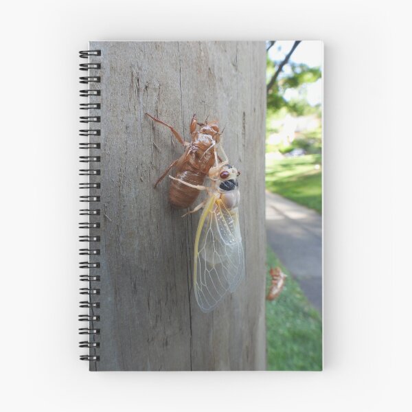 Item preview, Let's hang... (Brood X cicada) designed and sold by UpTowardTheSky.